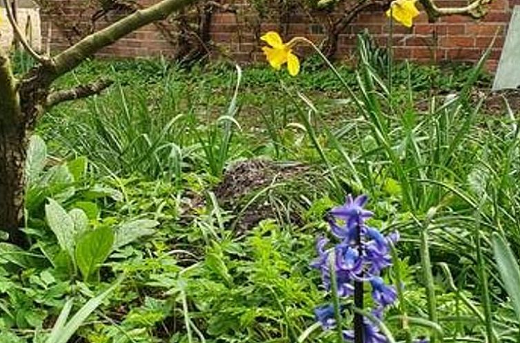 Vakantiehuisje in Uithuizen