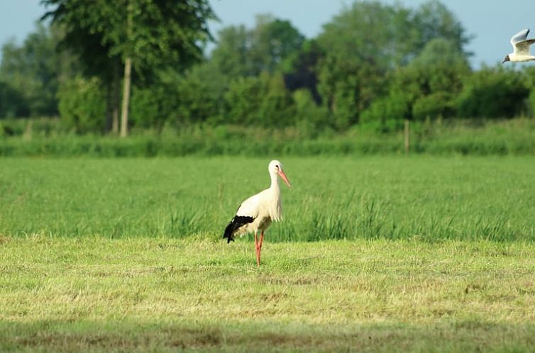 Vakantiehuis in Overschild