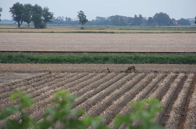 Vakantiehuisje in Usquert