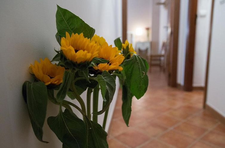 Casa Rural Migolla