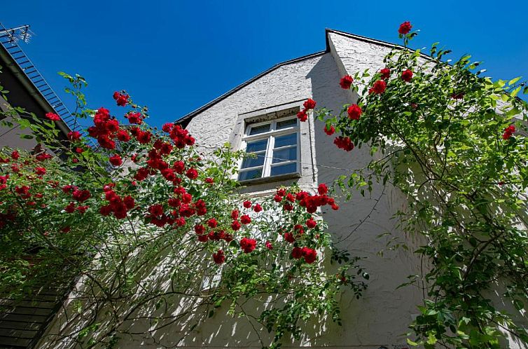 Guest house 33802602 - Holiday property North Rhine-Westphalia - Gästehaus Vanille & Chocolat