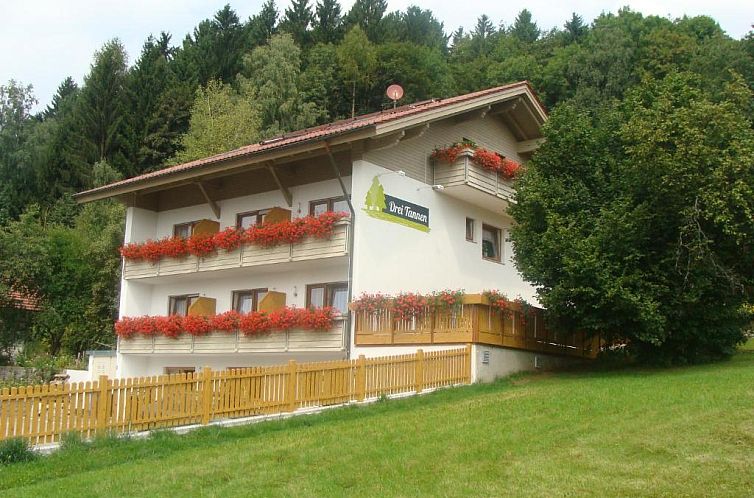 Drei Tannen