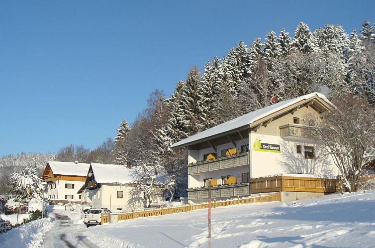 Drei Tannen