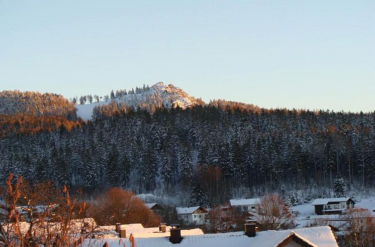 Drei Tannen