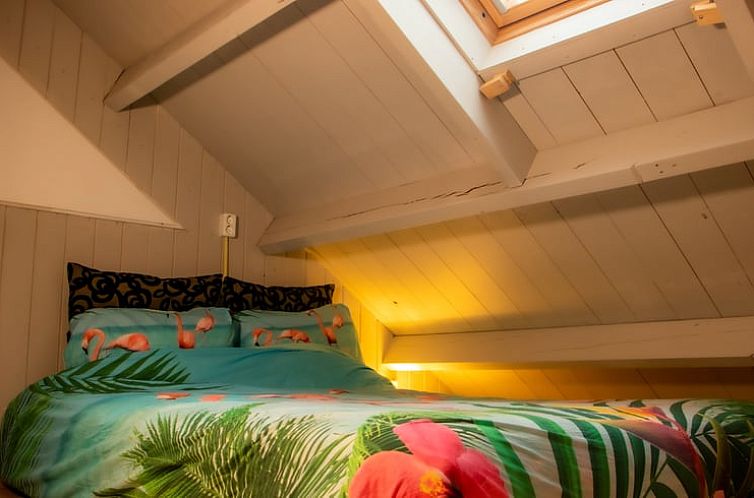 Huisje in Pieterburen