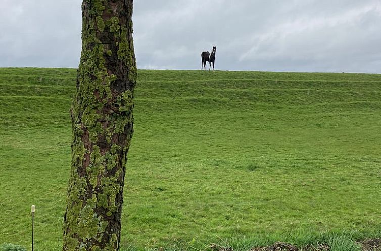 Huisje in Warfhuizen