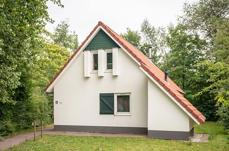 Natuurdorp Suyderoogh | 4-6-persoons bungalow - Breed toegan