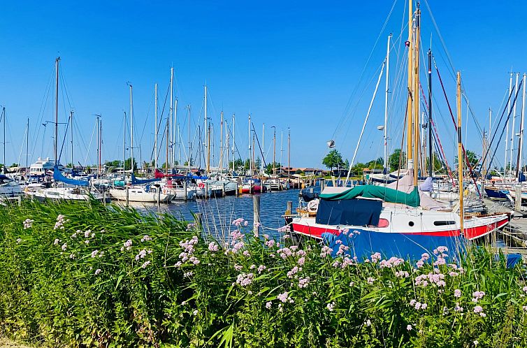 Vakantiehuis Rietwoning 16