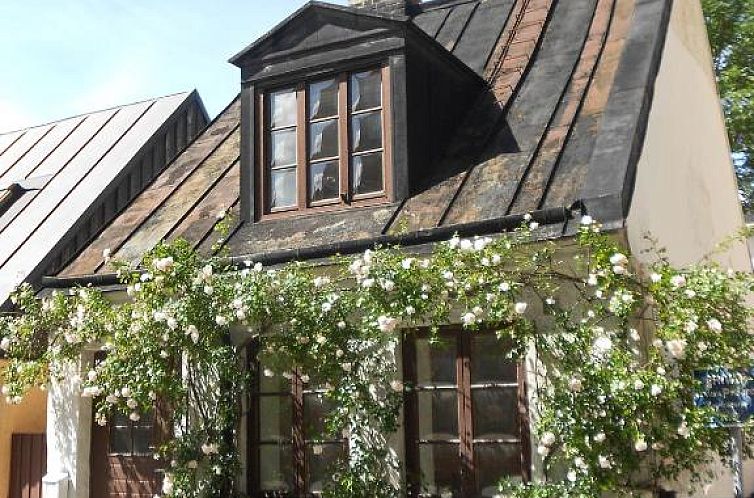 Guest house 3417322 - Apartment Götaland - Townhouse Lund