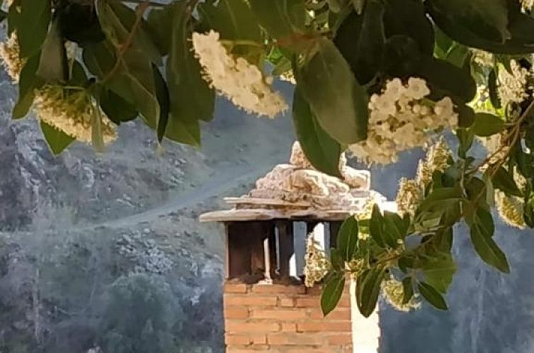 Cortijo La Solana