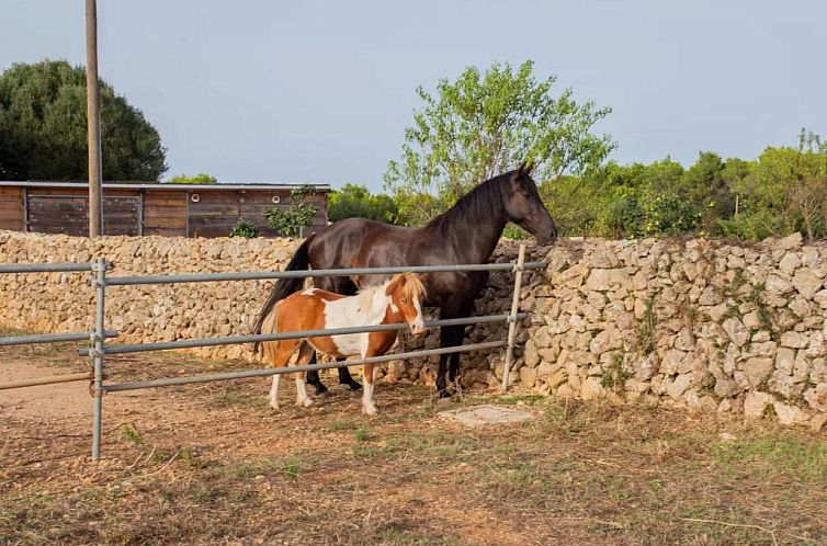 Finca Llimpet