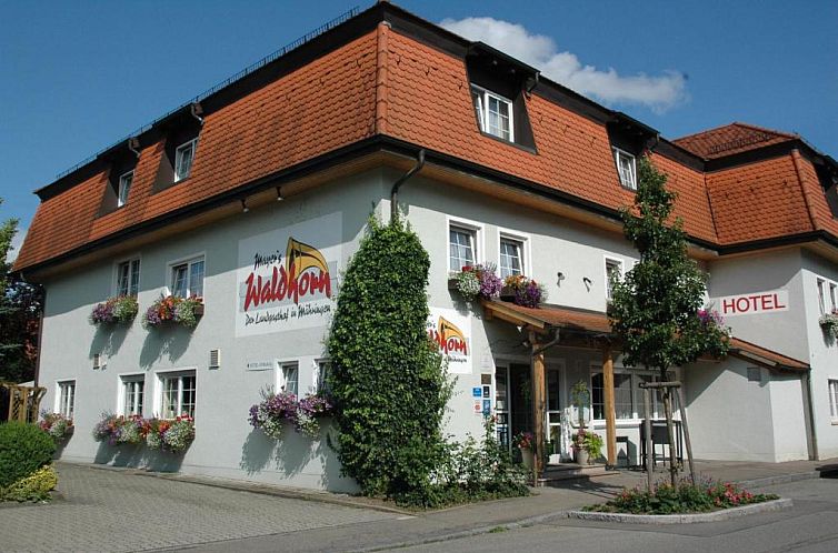 Guest house 34802001 - Apartment Baden-Württemberg - Mayers Waldhorn