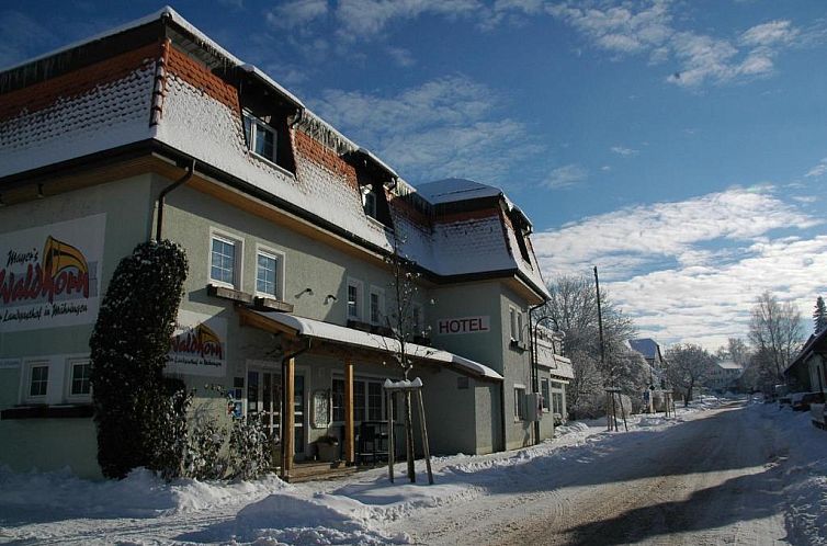 Mayers Waldhorn