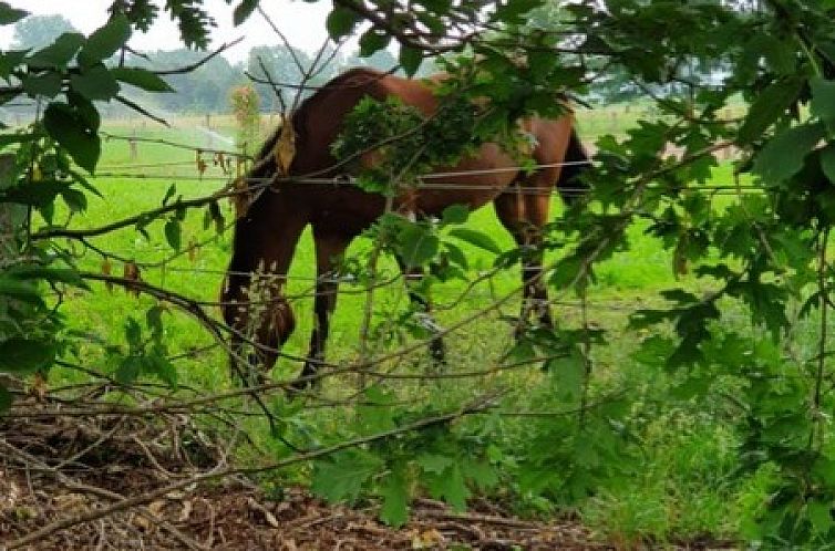 WedderheideHoeve in Wedde