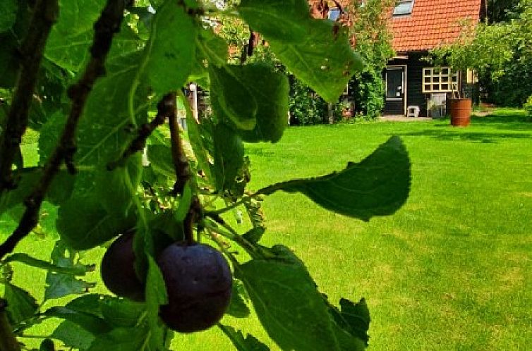 WedderheideHoeve in Wedde