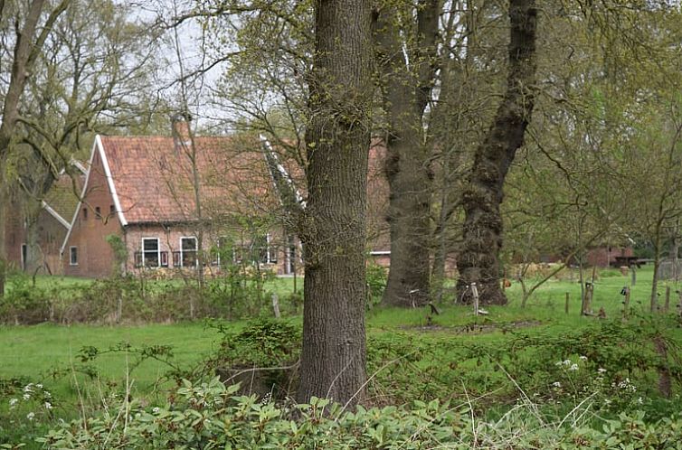 Huisje in Onstwedde