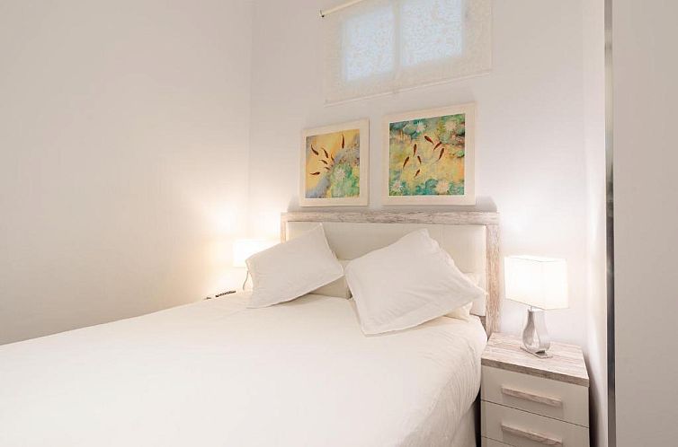 Homemalaga Constitución