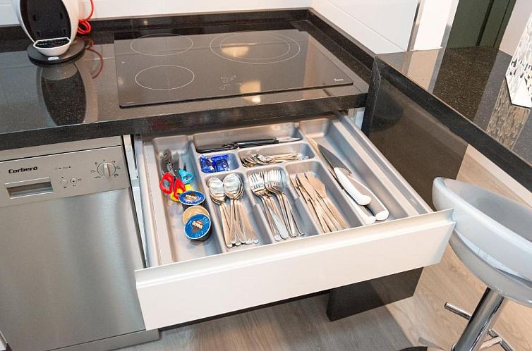 Homemalaga Constitución