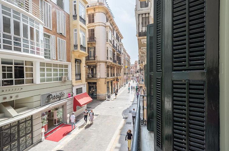 Homemalaga Constitución