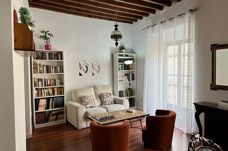 Gran Apartamento Centro Histórico