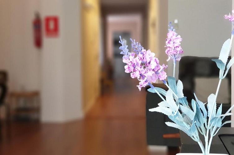 Gran Apartamento Centro Histórico