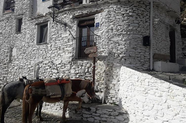 La Casa de la Bombilla Verde