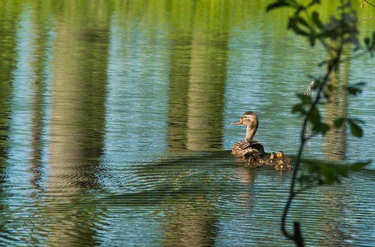 Romantik Hotel Gutshaus Ludorf