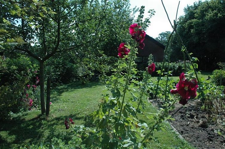 Huisje in Zevenhuizen