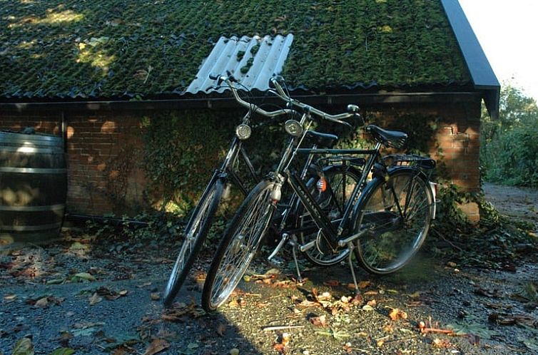 Huisje in Zevenhuizen