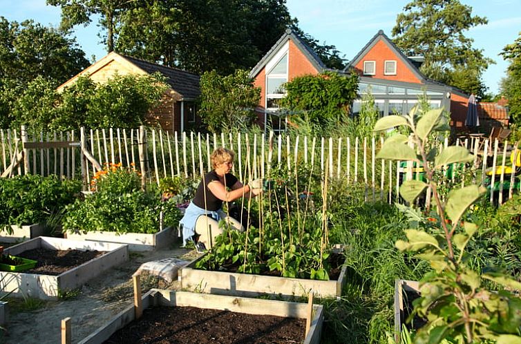 Vakantiehuisje in Lettelbert