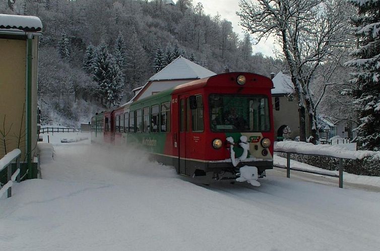 Hotel Alpin Murau