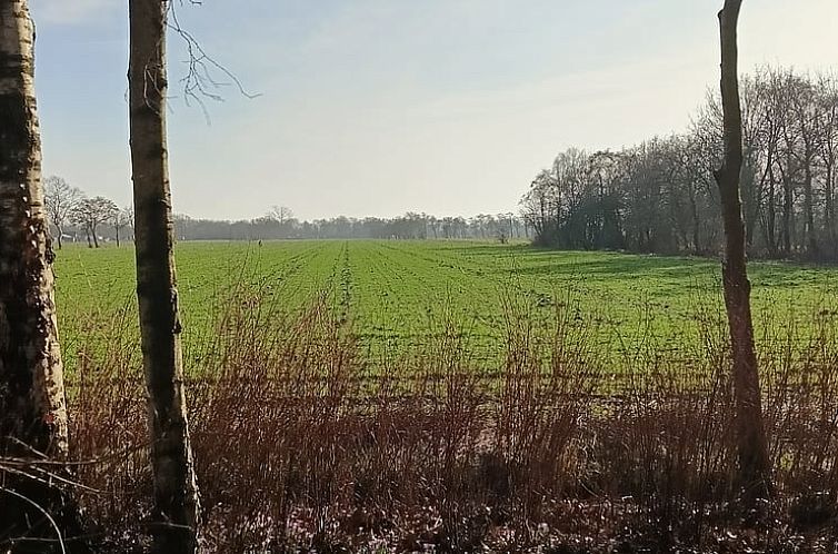 Vakantiehuisje in Opende