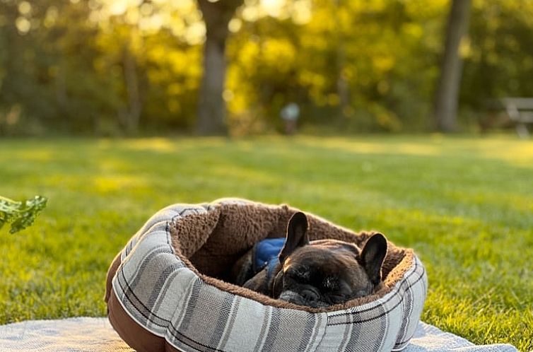 Vakantiehuisje in Opende