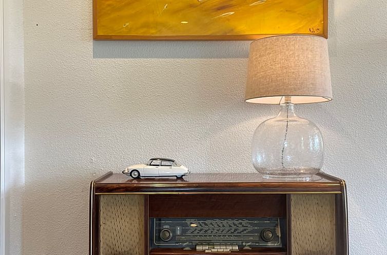 Vakantiehuis in Midwolde