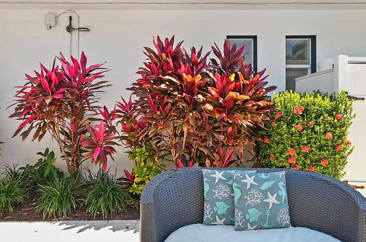 Hollywood Beach Suites and Hotel