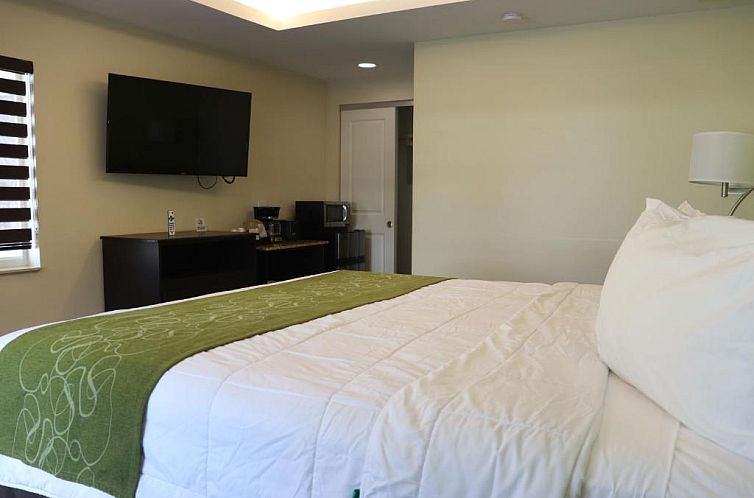 Curtis Inn & Suites