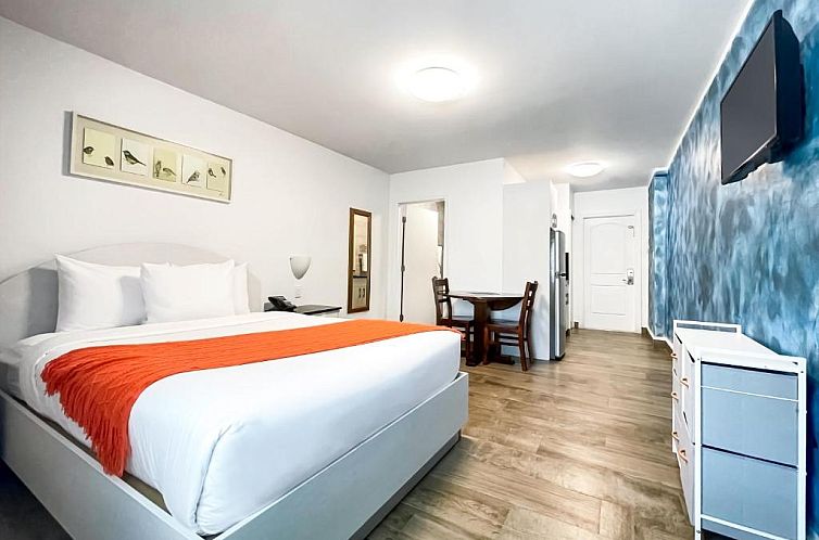 Hollywood Beach Hotels