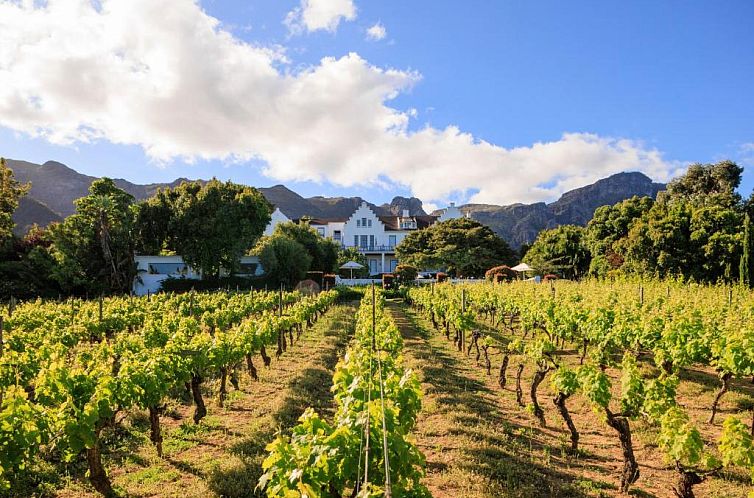 Guest house 3627206 - Apartment West-Kaap - The Cellars-Hohenort