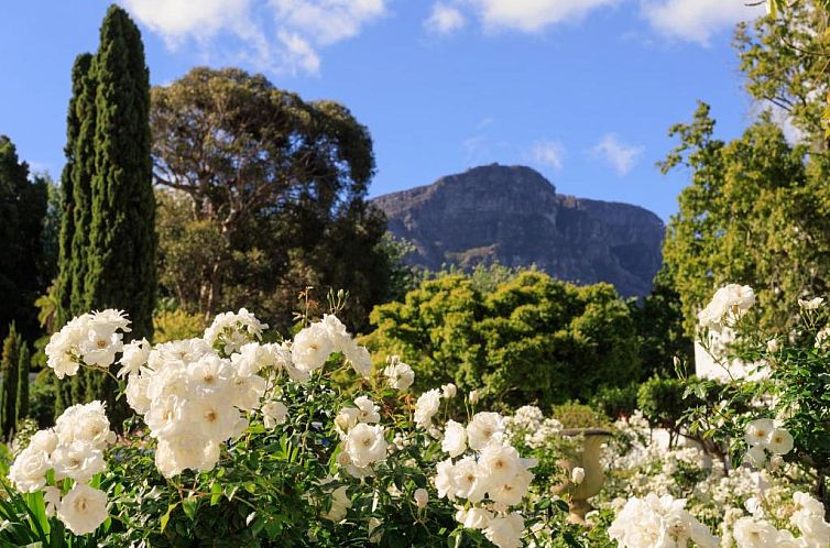 The Cellars-Hohenort