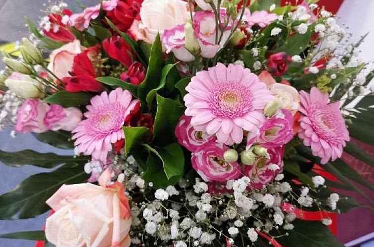 Hotel Touristik garni