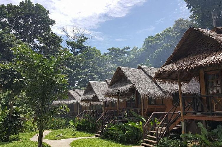 Jungle Garden