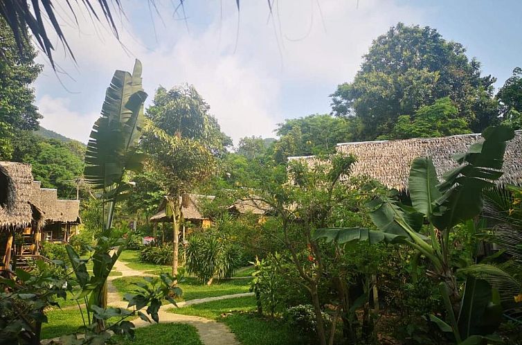 Jungle Garden