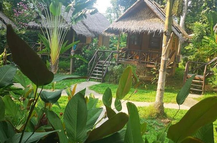 Jungle Garden
