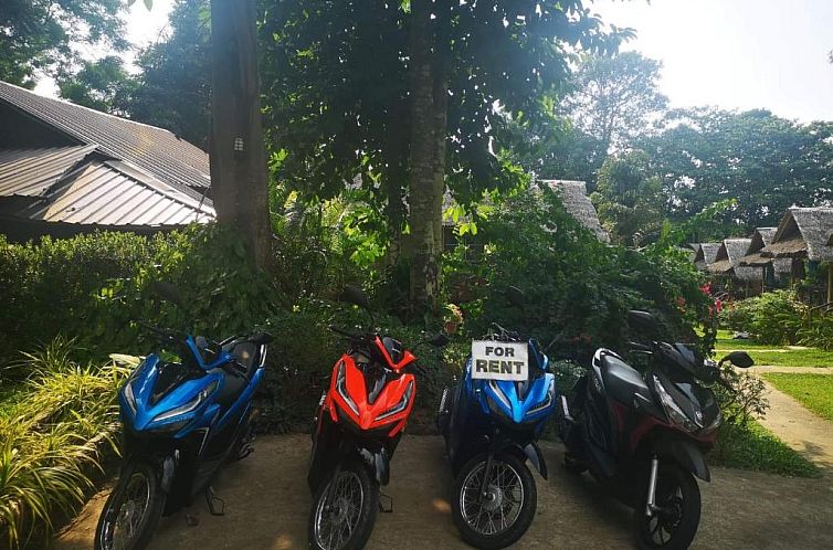 Jungle Garden