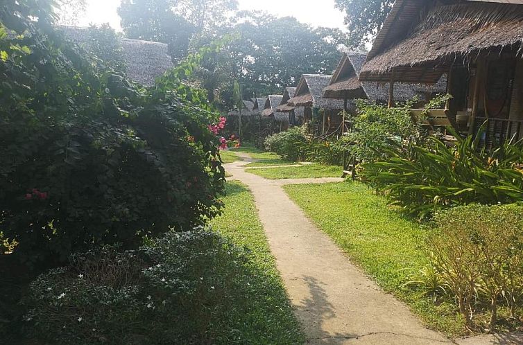 Jungle Garden