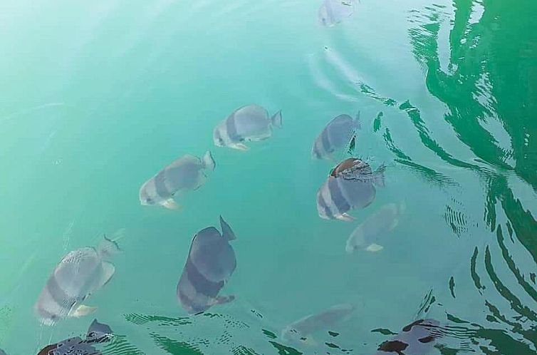 Parama Koh Chang