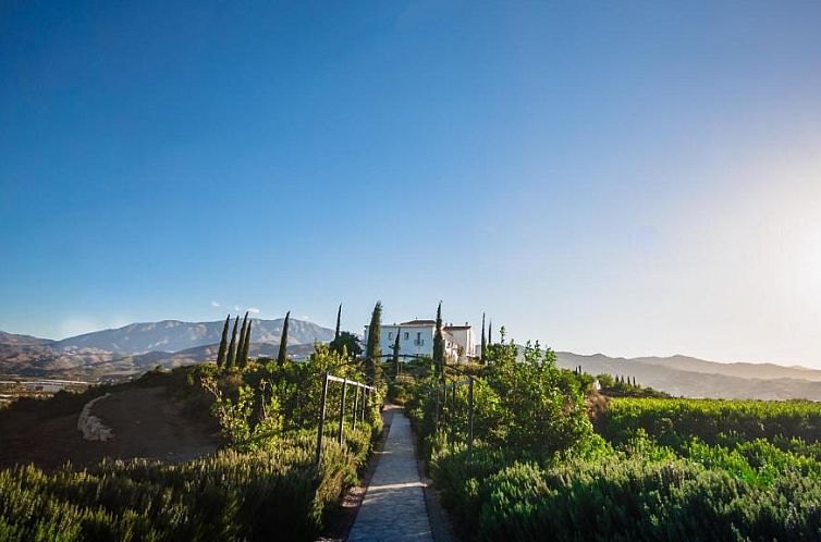 B Bou Hotel Cortijo Bravo