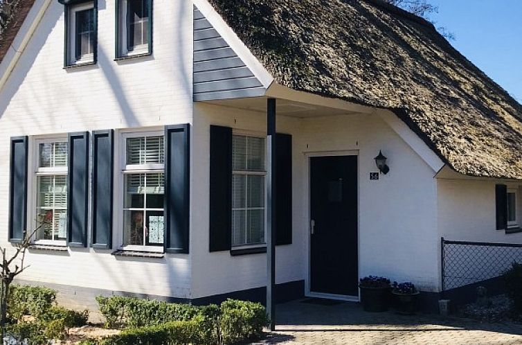 Charmant exterieur van Vakantiehuis Villa56 in Heel, Limburg, met rieten dak en groene omgeving.