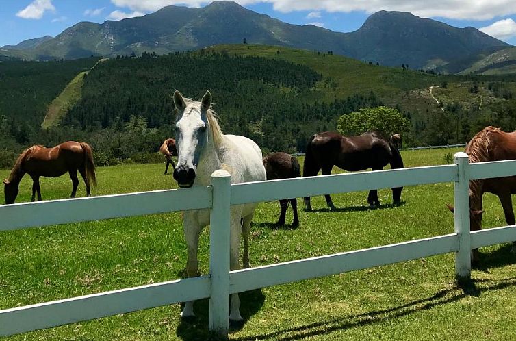 Eight Bells Mountain Inn