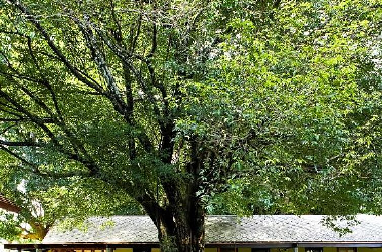 U Inchantree Kanchanaburi - SHA Plus Certified